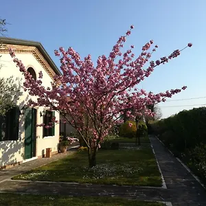 casa-pianta.hotelinveneto.com/